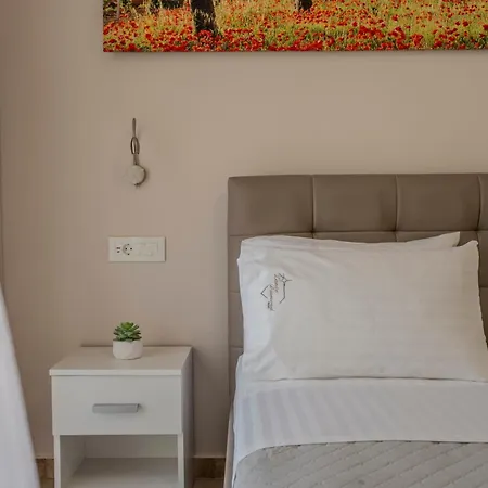 Zante Diamond Gaitani